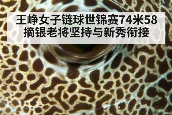 王峥女子链球世锦赛74米58摘银老将坚持与新秀衔接